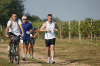 Photos_vin_scene_2011_0688