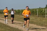 Photos_vin_scene_2011_0737