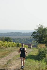 Photos_vin_scene_2011_0804