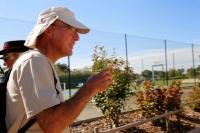 Photos_vin_scene_2014_0021