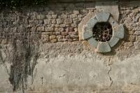 Photos_vin_scene_2014_0214