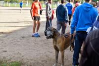 Photos_vin_scene_2014_0618