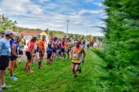 Photos_vin_scene_2014_0632