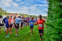 Photos_vin_scene_2014_0636
