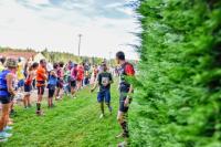 Photos_vin_scene_2014_0638