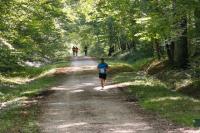 Photos_vin_scene_2014_0663