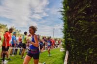 Photos_vin_scene_2014_0676