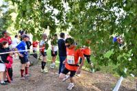 Photos_vin_scene_2014_0678