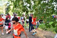 Photos_vin_scene_2014_0680