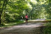 Photos_vin_scene_2014_0725