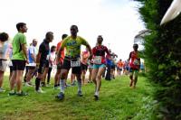 Photos_vin_scene_2014_0734