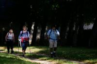 Photos_vin_scene_2014_0901