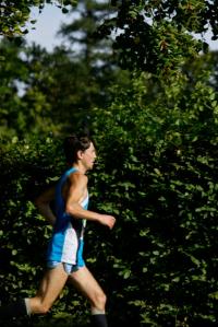Photos_vin_scene_2014_0911