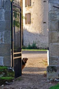 Photos_vin_scene_2014_1417