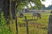 Photos_vin_scene_2014_1423