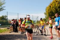 Photos_vin_scene_2014_2018