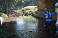 vin_scene_2016_deuxieme-troncon_028