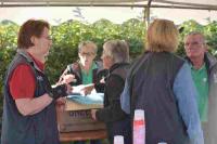 vin_scene_2016_benevoles_064